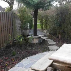 Boomvaren (Dicksonia Antarctica) -Tuin Vormen Verkoopwinkel dicksonia antartica