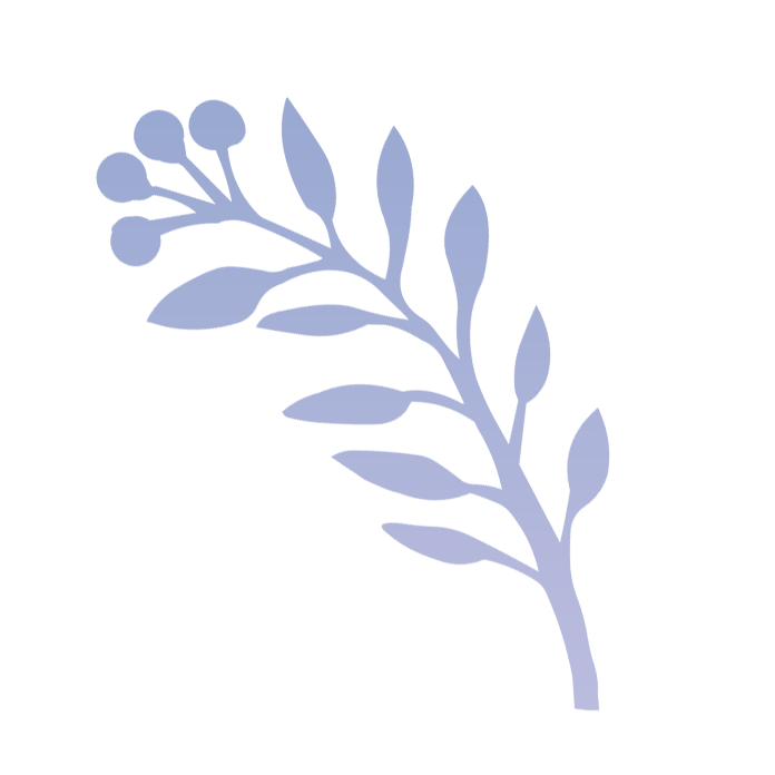 Tuin Vormen Verkoopwinkel